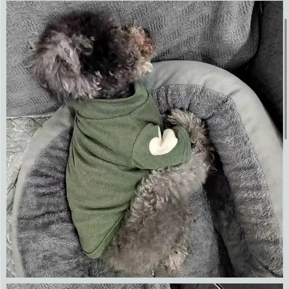 Amazon Small/XS Dog or Cat Green Sweater with Heart Elbow Pads NWT